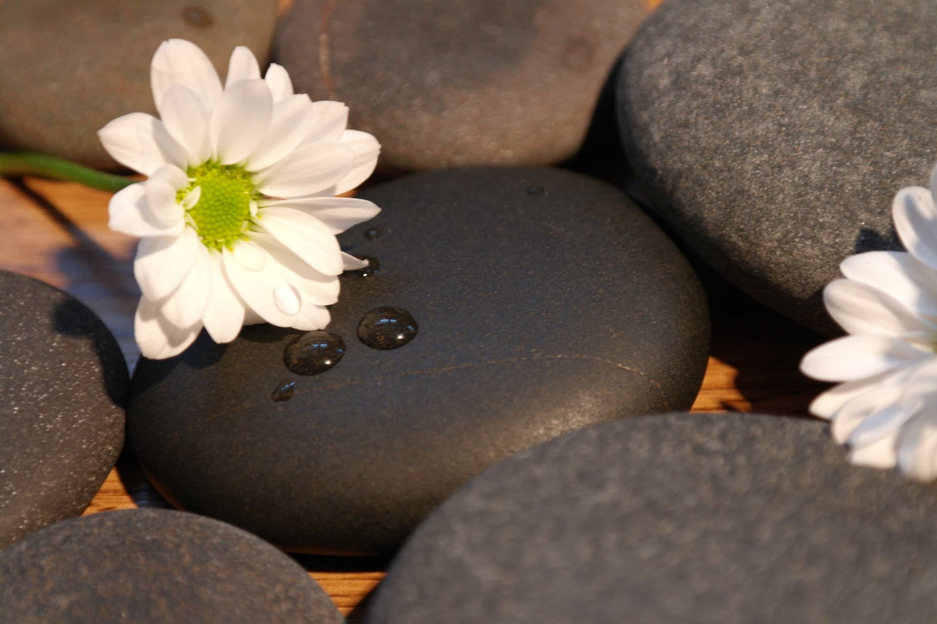 Masáž obličeje a dekoltu — Masáže Pontika Brno